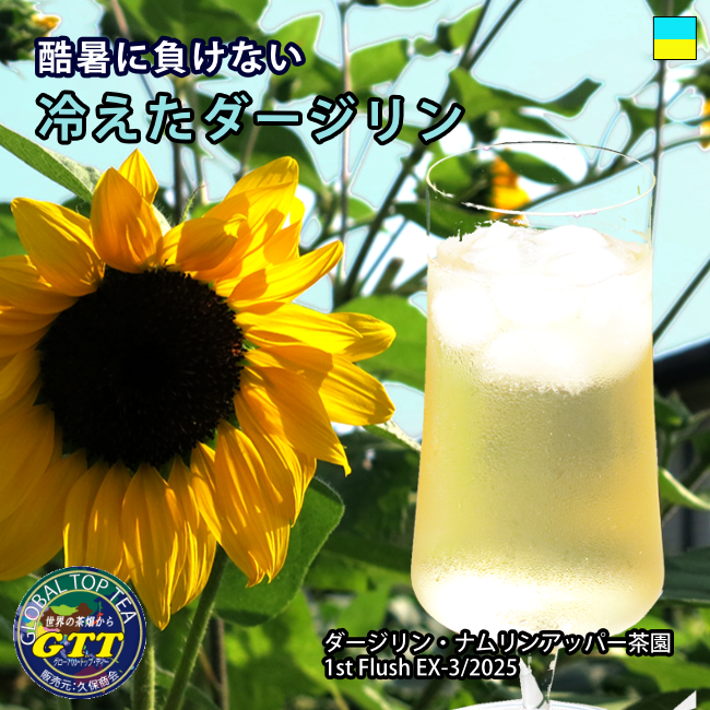 Global_Top_Tea's tweet photo. 酷暑の夏、クリニックに行くと「おみずは飲んでますか」、医者の枕詞です。水も大切ですが、火照った体を冷やすには冷たいダージリンが手ばなせませんね。ふと雪のヒマラヤ山脈を思いだし涼しい気分のプラスアルファー。 https://t.co/Fc7ANh6HPS