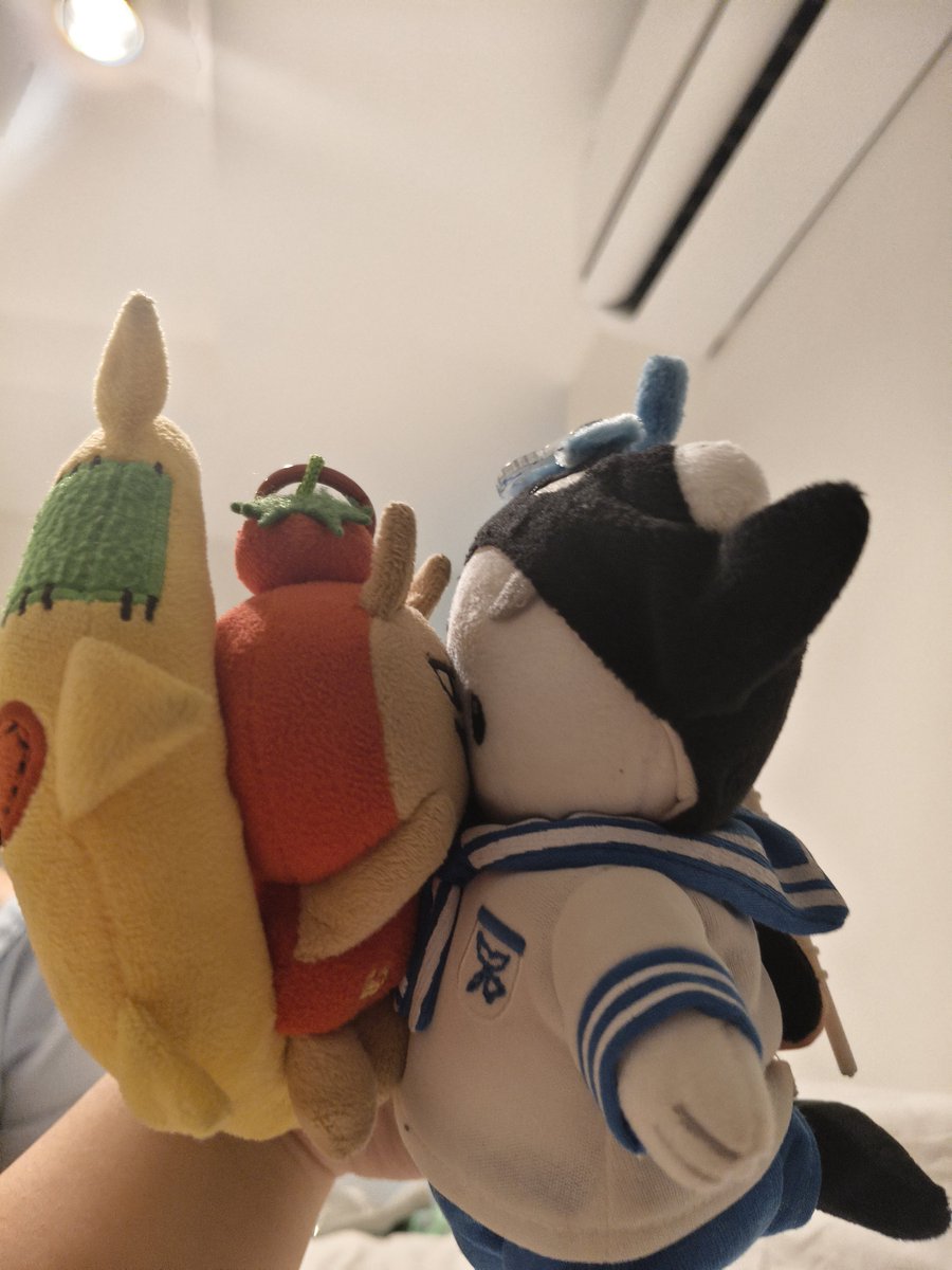 muzeflashy's tweet photo. 555555polcasan and tomafox https://t.co/BXHJuxqTsn