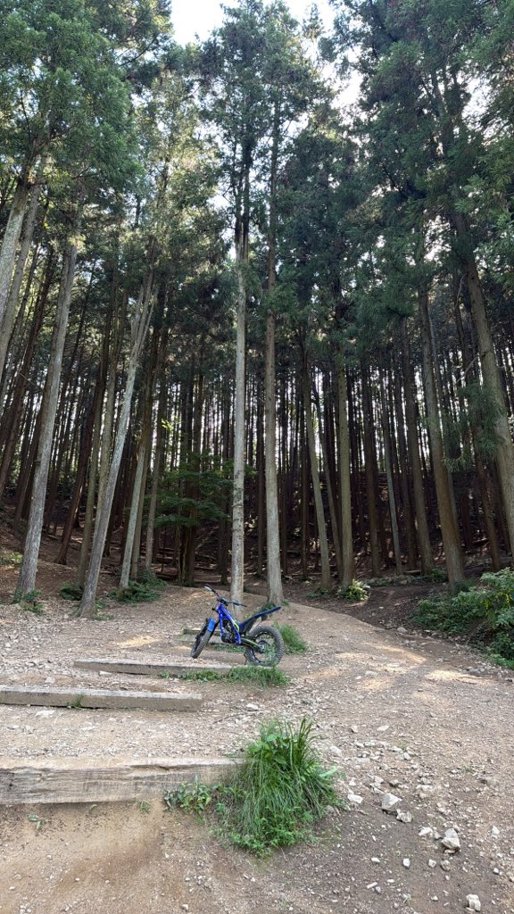 ikechi1 tweet picture