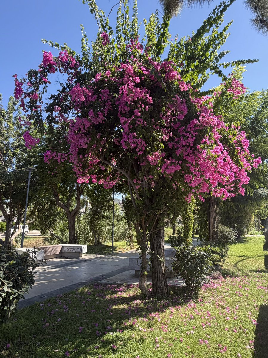 unzb0v's tweet photo. Kemer ☀️ https://t.co/7Jgm2nojNE