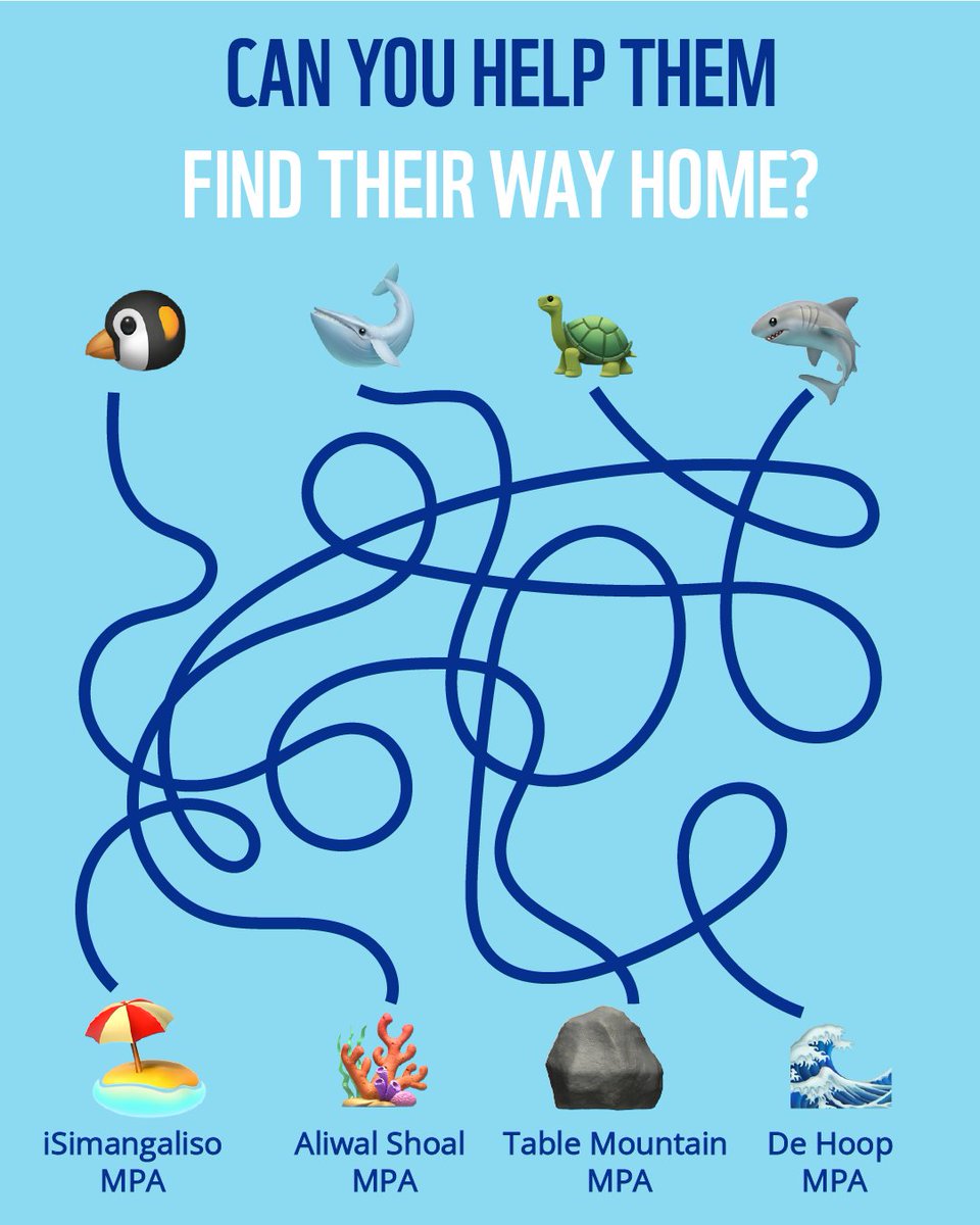 WWFSouthAfrica's tweet photo. 🌊 It’s Marine Protected Areas Day!
DYK: South Africa's MPAs protect whale nurseries, turtle nesting beaches, penguin feeding grounds and thriving reef ecosystems.
🧩 Can you help each sea critter find its way home?

#WorldMPADay https://t.co/NahnOD7wo6