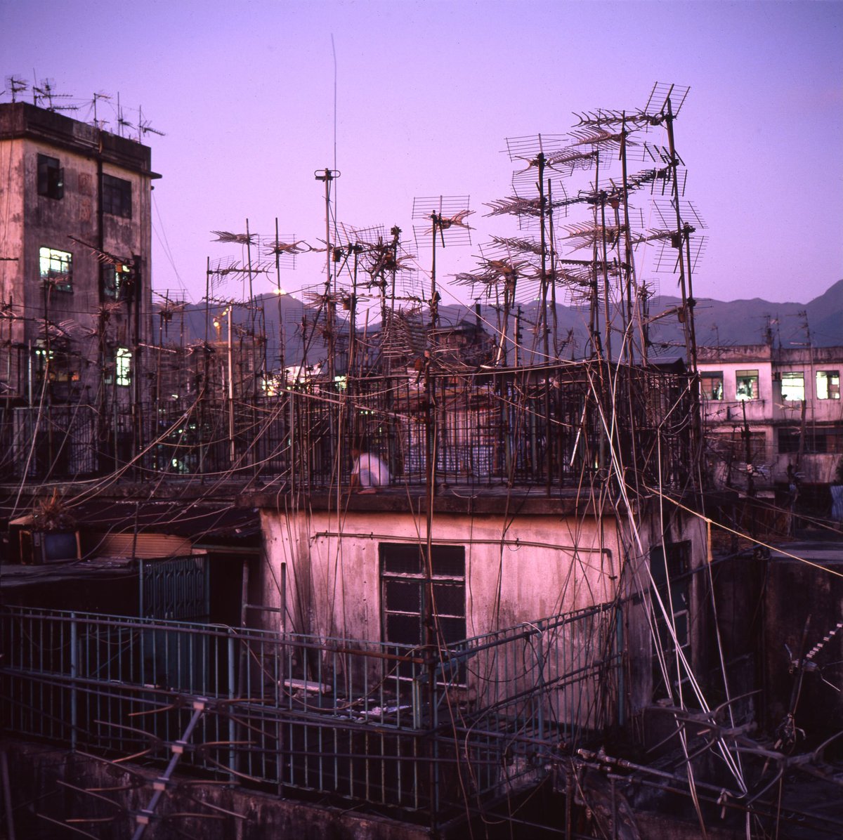 gregforaday's tweet photo. Some film recently turned up which I haven’t seen in, oh, 30 years or so.

In 1990 I bought a Mamiya 6 camera and shot a few rolls on the rooftop of the Kowloon Walled City. By this point I’d already been photographing there for more than 3 years, using a 35mm camera. Kind of wish I’d used the medium format camera more. But within a year, by 1991, the Walled City was starting to empty out as the relocation process gathered steam. The place started looking increasingly derelict and lifeless, and I photographed less and less as the life drained out of it. By 1992 the demolition began and soon it was gone. But the book I made with my colleague Ian Lambot, “City of Darkness Revisited”, 360 pages of photographs, maps, essays and interviews preserves what life was like in that extraordinary place. 

Back in print and available via link in bio.

https://t.co/fcCHtVXXRf

1-3: Kowloon Walled City rooftop scenes, with Lion Rock in background.
4. Cathay Pacific 747-300 passing the Walled City and the densely packed neighborhood near the end of the runway at Kai Tak Airport. 1989 (on 35mm slide film).