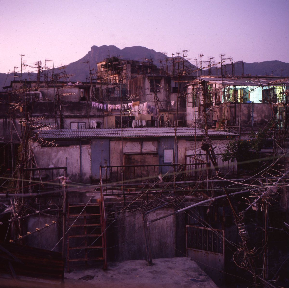 gregforaday's tweet photo. Some film recently turned up which I haven’t seen in, oh, 30 years or so.

In 1990 I bought a Mamiya 6 camera and shot a few rolls on the rooftop of the Kowloon Walled City. By this point I’d already been photographing there for more than 3 years, using a 35mm camera. Kind of wish I’d used the medium format camera more. But within a year, by 1991, the Walled City was starting to empty out as the relocation process gathered steam. The place started looking increasingly derelict and lifeless, and I photographed less and less as the life drained out of it. By 1992 the demolition began and soon it was gone. But the book I made with my colleague Ian Lambot, “City of Darkness Revisited”, 360 pages of photographs, maps, essays and interviews preserves what life was like in that extraordinary place. 

Back in print and available via link in bio.

https://t.co/fcCHtVXXRf

1-3: Kowloon Walled City rooftop scenes, with Lion Rock in background.
4. Cathay Pacific 747-300 passing the Walled City and the densely packed neighborhood near the end of the runway at Kai Tak Airport. 1989 (on 35mm slide film).