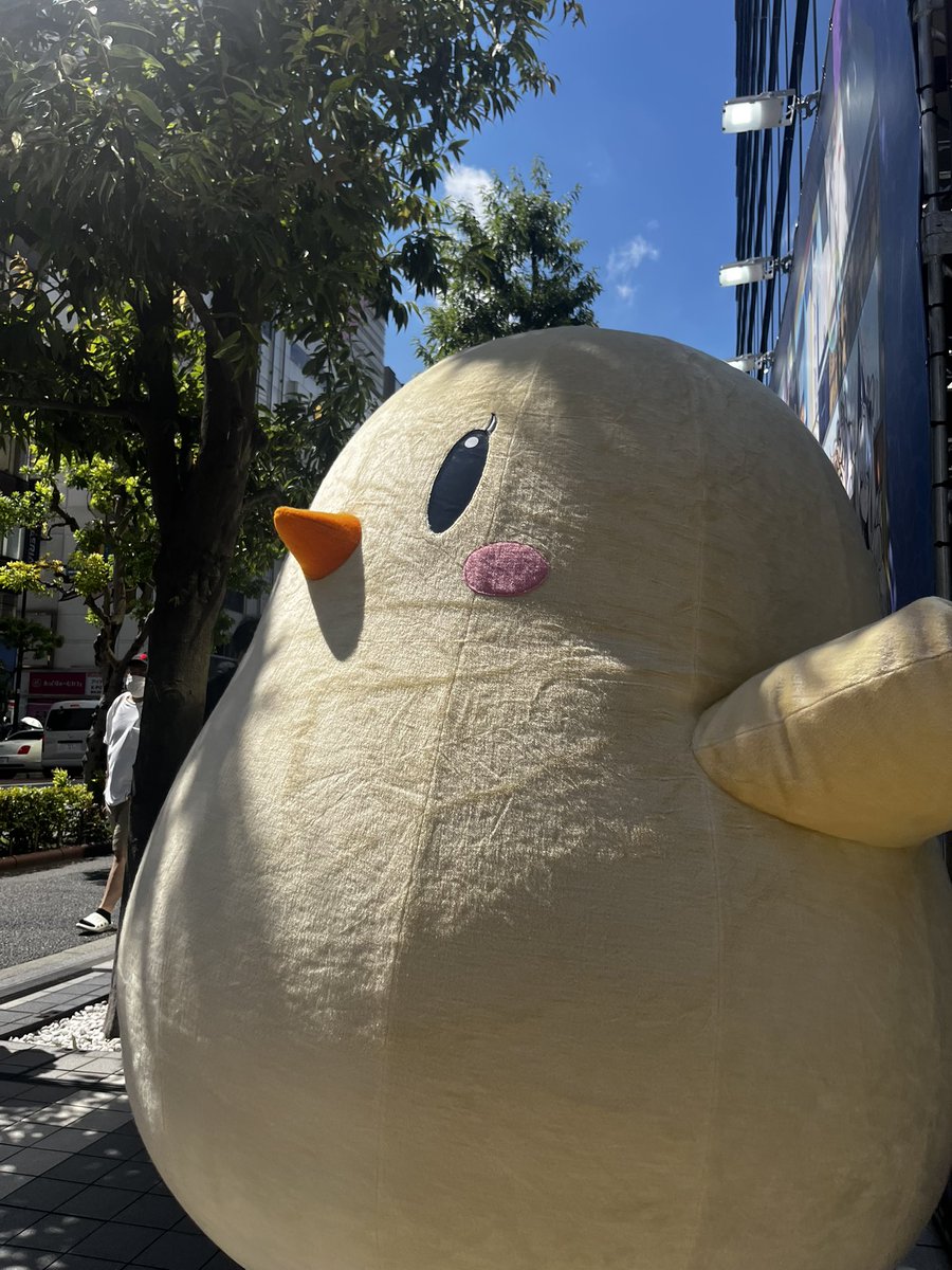 Keroport's tweet photo. 今年のアズレン周年イベでもまんじゅうと触れ合いたい

去年はまんじゅう渾身のファンサ突進で秋葉の中心で悲鳴をあげたもんよ https://t.co/z7v3tS1Sri