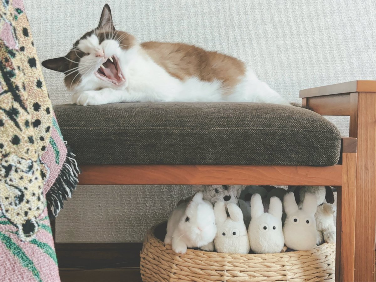 heltune's tweet photo. 😖 https://t.co/F6PnTQrZWV