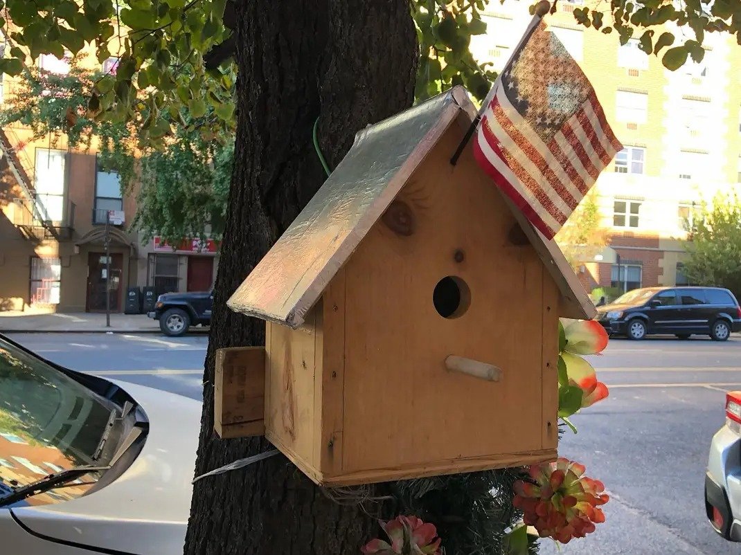 NY78com's tweet photo. 鳥小屋にも星条旗。 https://t.co/YFJhPpQcMn