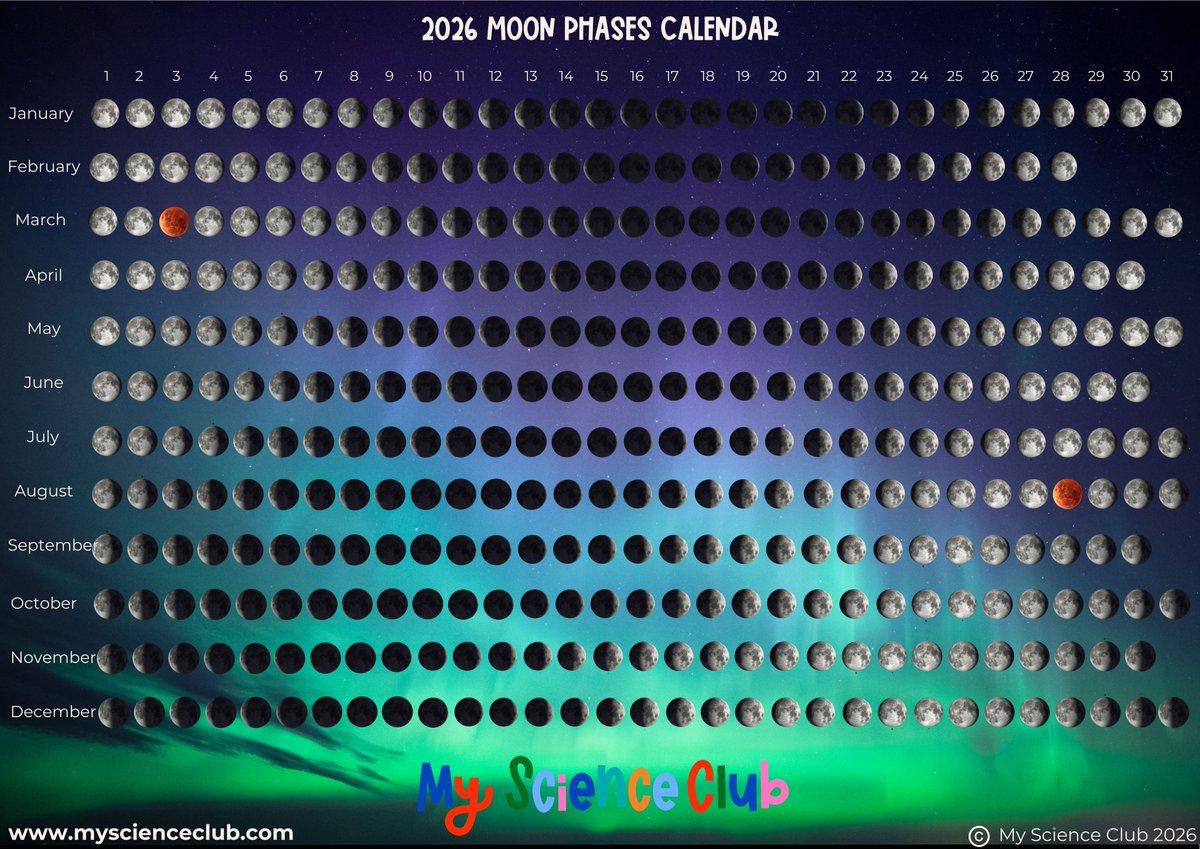 My_ScienceClub's tweet photo. Our stunning 2026 Phases of the Moon calendar is available to download for FREE!

Guaranteed to get your children engaged and inspired these beautiful calendars look amazing anywhere.

Click below to download your FREE calendar.

https://t.co/dxOCwxyiin https://t.co/zOzvHsj9bS