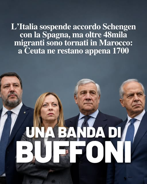 ArenaSusi's tweet photo. #governodellafuffa https://t.co/1qJemDoL8O