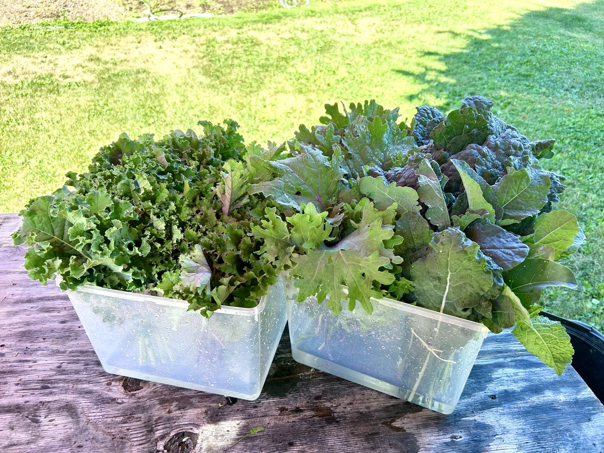 East Ridge Farms tweet media