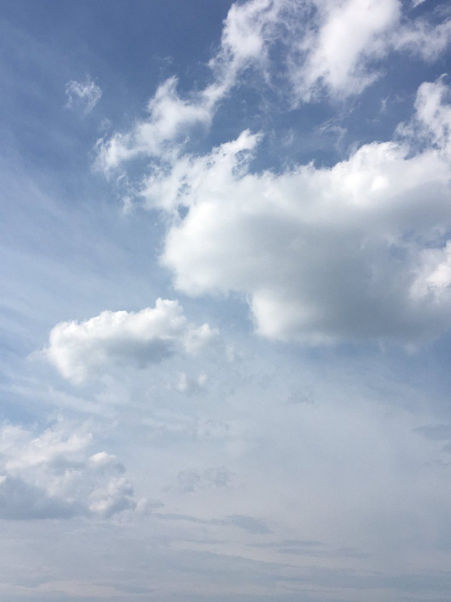 윤재 tweet media
