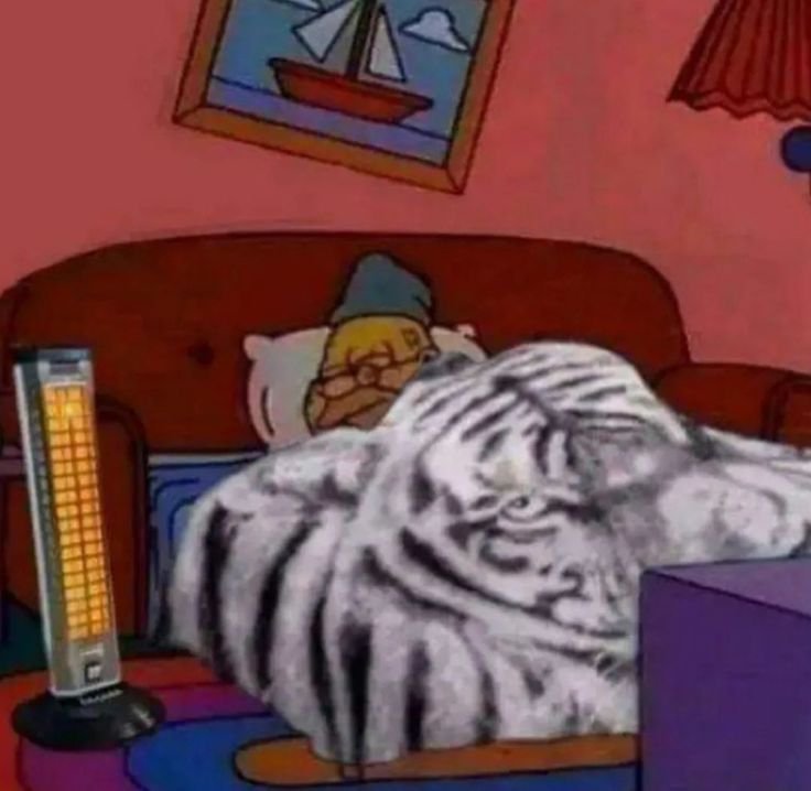 Tofy__Choff's tweet photo. Re que el clima se presta para dormir así https://t.co/g9e7UKWjOp