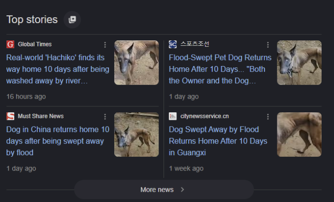 vladwifhatRH's tweet photo. This dog literally got compared to Hachiko

I am not sure how its not bonded News article literally says "Real-world 'Hachiko' finds its way home 10 days after being washed away by river floodwaters" Is that not insane? 

Those 7 dogs that went to several millions was a fake story and this ones real posted by many news articles The dog took TEN days to trek back home? 

He was took out by floods for miles and still found his way back home The article comparing it to Hachiko is insane to me

https://t.co/QXDCjqnbxr
I found his name here - 
https://t.co/vpm5kifr90

6bN3QrA552yBnsrPo6UdwESo7JWyzG55buKJstKApump
