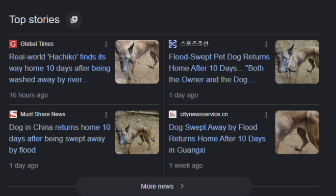 vladwifhatRH's tweet photo. This dog literally got compared to Hachiko

I am not sure how its not bonded News article literally says "Real-world 'Hachiko' finds its way home 10 days after being washed away by river floodwaters" Is that not insane? 

Those 7 dogs that went to several millions was a fake story and this ones real posted by many news articles The dog took TEN days to trek back home? 

He was took out by floods for miles and still found his way back home The article comparing it to Hachiko is insane to me

https://t.co/QXDCjqnbxr
I found his name here - 
https://t.co/vpm5kifr90

6bN3QrA552yBnsrPo6UdwESo7JWyzG55buKJstKApump