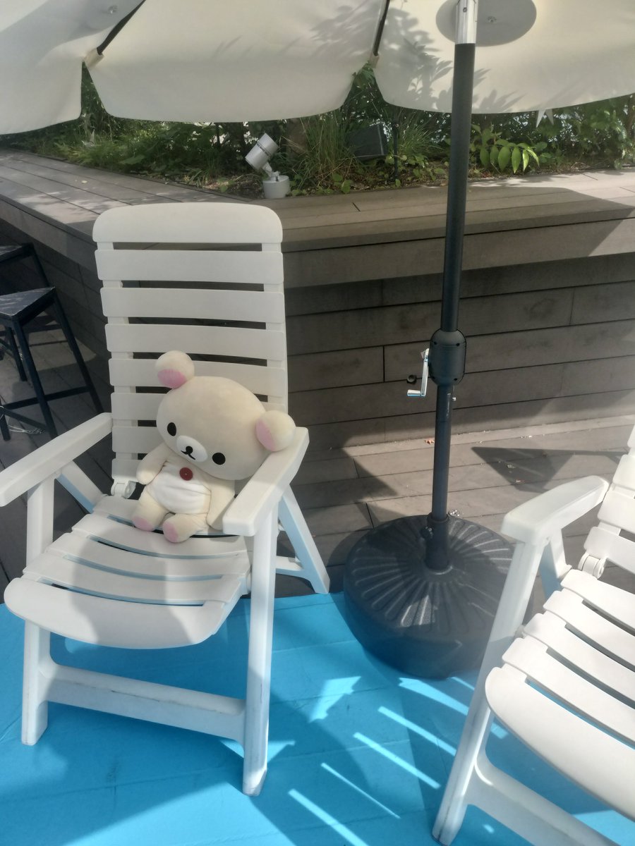 sumire70551509's tweet photo. #stayintheshade https://t.co/Qo5eJjc0ur