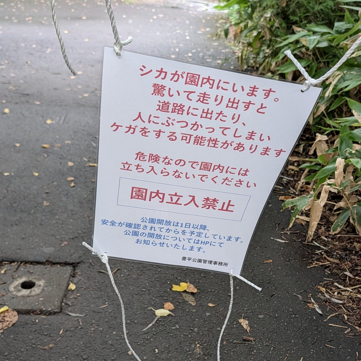 dcsy's tweet photo. 散歩に来たら公園立ち入り禁止になってた。 https://t.co/O0HHuMzEa6