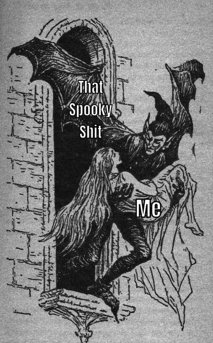 TheGhostHost's tweet photo. 🦇 https://t.co/c56mSjc03W
