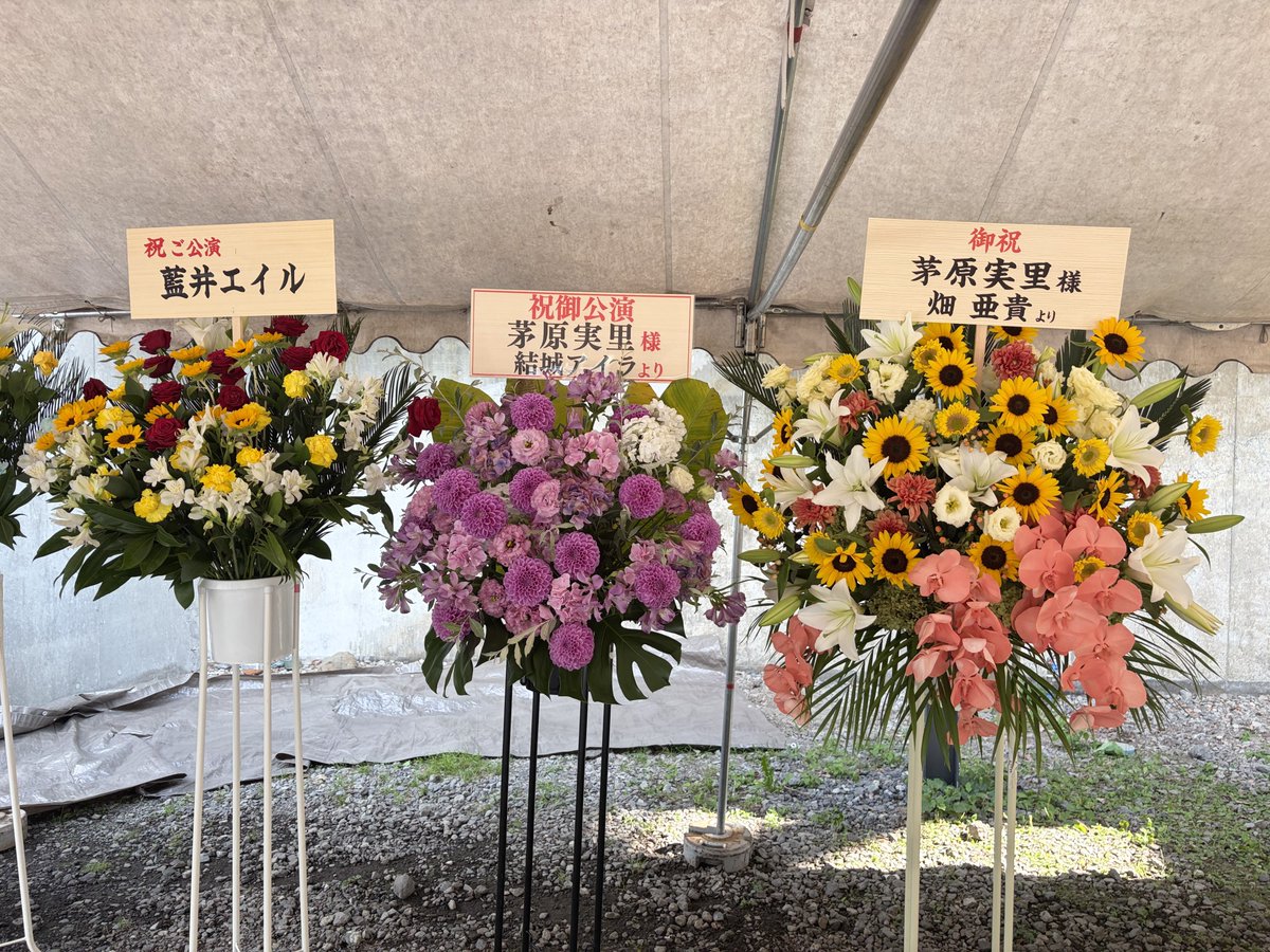 sigma_zip's tweet photo. フラスタのメンツが強すぎるだろ https://t.co/fbEdQllNjO