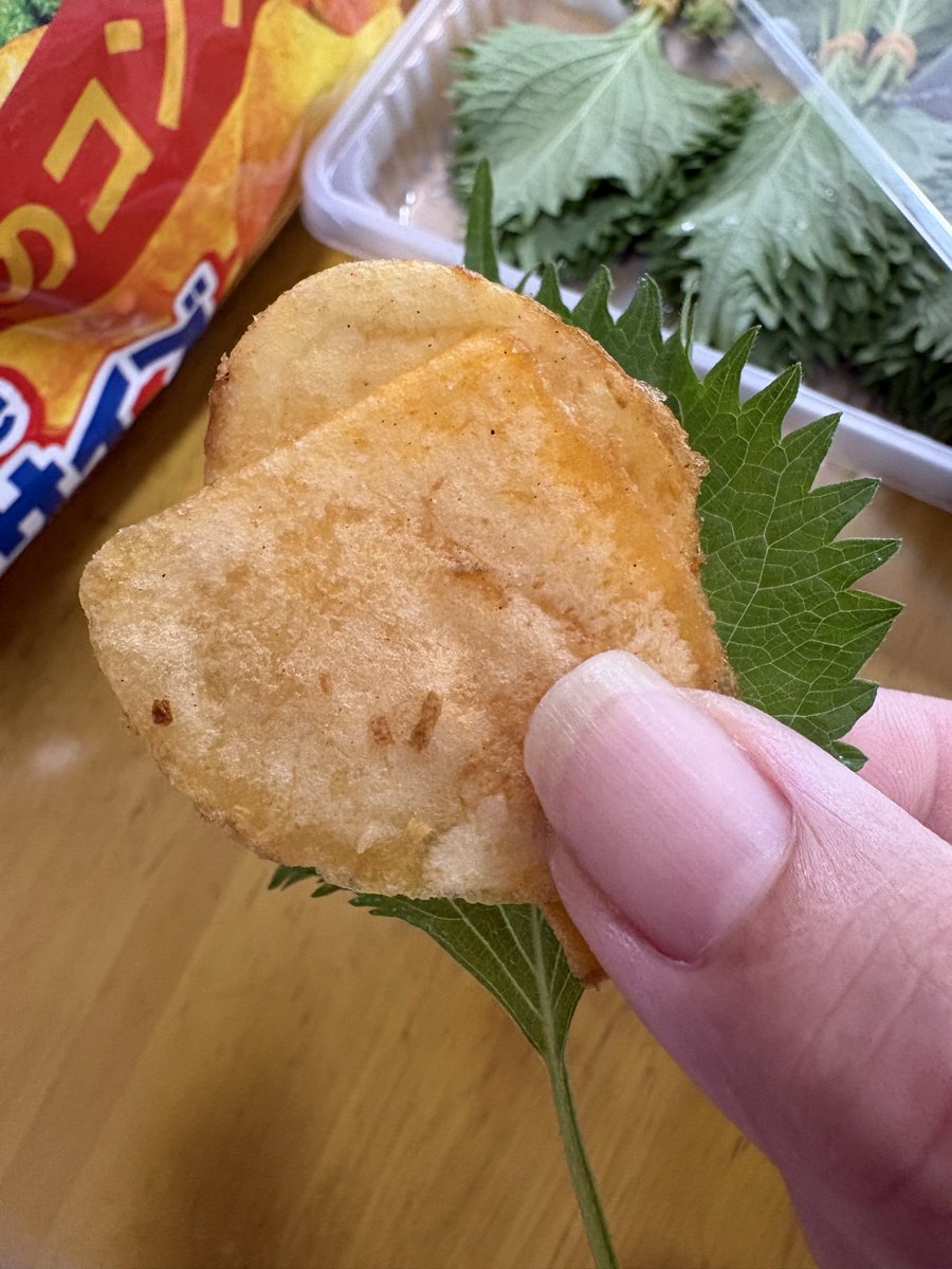 japapamen's tweet photo. ちいかわの映画
「人魚の島の秘密」観にいってきました。
特典は大好きな栗まんぢゅう先輩でした🌰🥃

劇中で栗まんぢゅう先輩がツマミにしてた「大葉と一緒にポテチ」が美味しそうだったのでこれから一杯やる🍼

#ちいかわ https://t.co/XvStJVlhNo