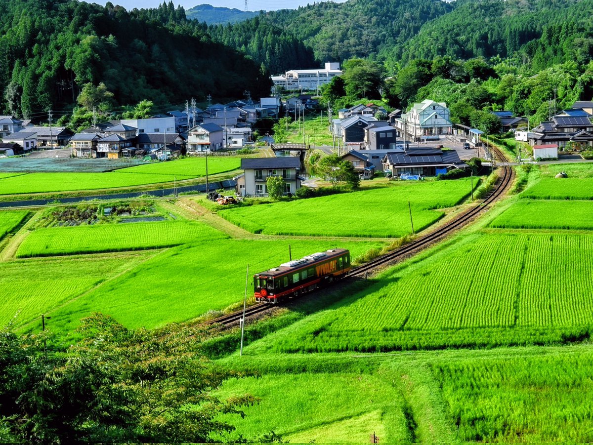 hrmc2016i8's tweet photo. VIVANT列車 山岡を行く
撮影日：2026年7月29日
撮影場所：岐阜県��那市山岡町
カメラ：Nikonz6ii
#vivant #明知鉄道 #山岡町 https://t.co/oBV9iZPRfs