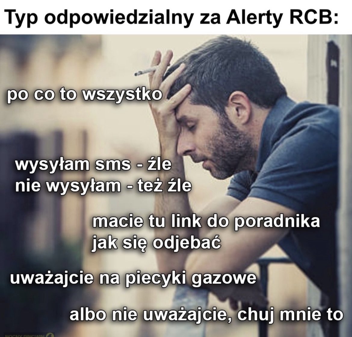 arktos0's tweet photo. https://t.co/G93cZlssO2