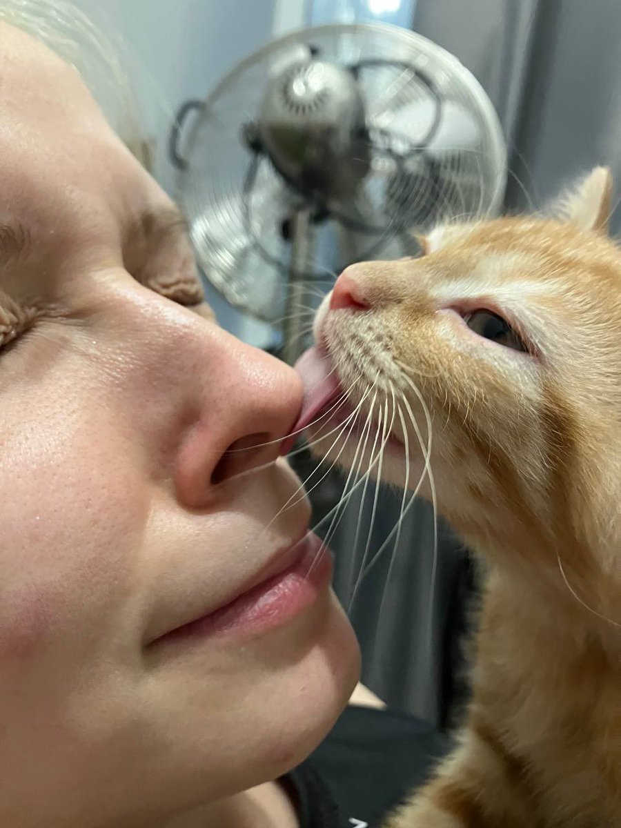 NancyK_lj's tweet photo. @gatinarios 🤣🤣🤣 https://t.co/fLgNbL0w5E