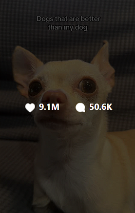Den_O1_'s tweet photo. Found this insanely viral Instagram reel. 

It is about to reach 10 MILLION LIKES and has 75 MILLION VIEWS in a few weeks.

Emmy (the dog) gets betrayed by her owner because he said he likes other dogs more then her🥲

I do not understand how this has not been devved

https://t.co/B6GNS8iqbZ