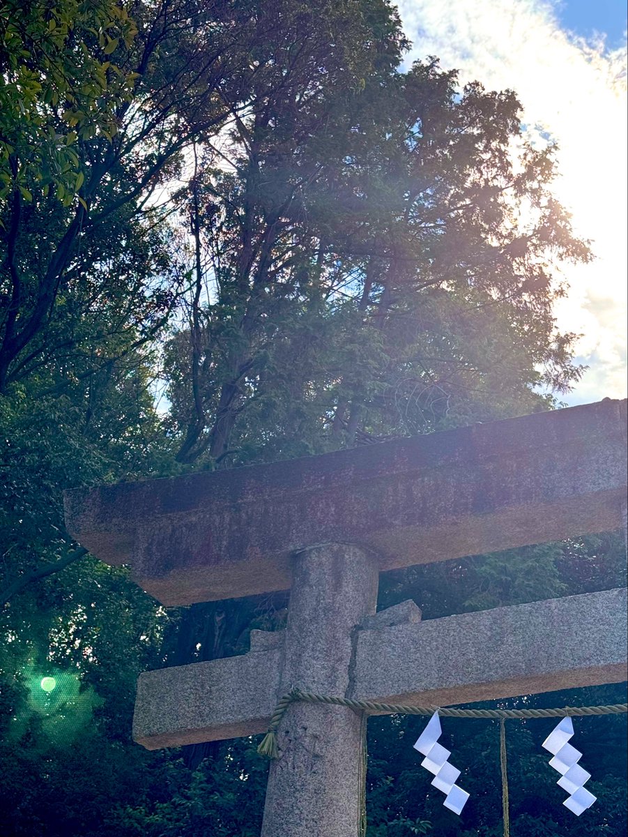 tshirtsjapan's tweet photo. 氏神様にお参り⛩
夏の光☀️そして風鈴🎐🎐 https://t.co/u133n3qSnq