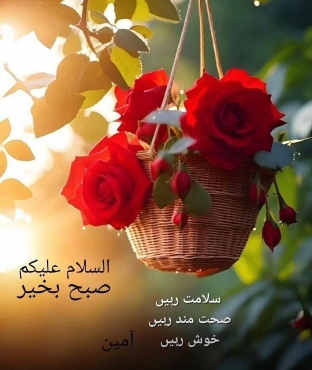 Mirani213's tweet photo. https://t.co/B7rt9btCVA