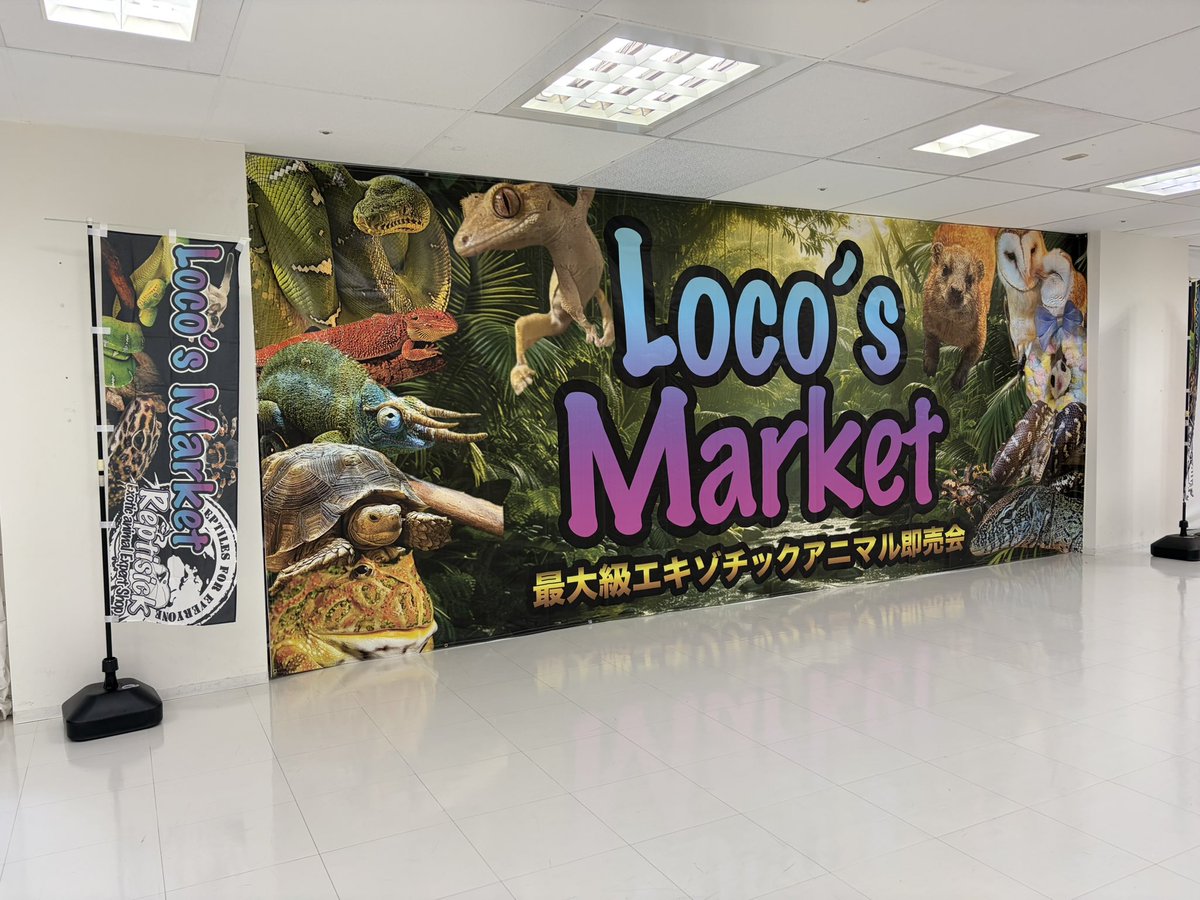 yakumichannnn's tweet photo. 明日8月2日
いつも良くしてくださってる
@Reptisick_ 様が主催のイベント
Loco'sMarketが開催されますꉂꉂ📣

栃木県 小山 ロブレ3階に
是非お越しくださーい♡
#ロコズマーケット
#爬虫類
#エキゾチックアニマル
#爬虫類イベント https://t.co/xsQqTrQAnr