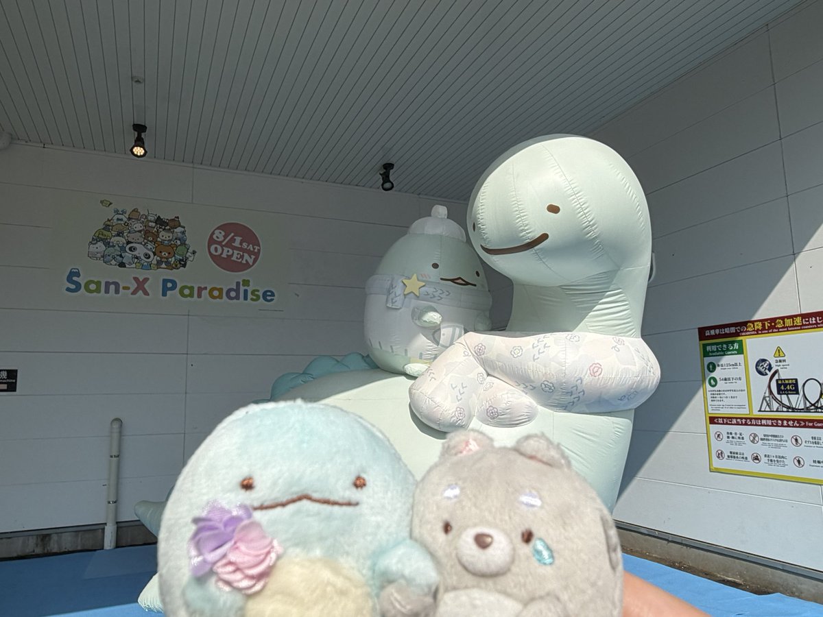 mmmmmm748262's tweet photo. オープニングセレモニーにも参加しましたが、なかなか暑かったです💦
とりあえ��、すみっコ達の可愛らしいところたくさんありました☺️
とかちゃんをご査収ください🙇
 #サンエックスパラダイス  #すみっコぐらし https://t.co/ppjNb3F3VB