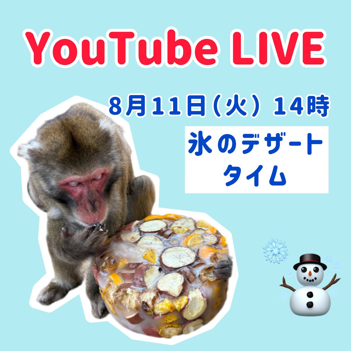 おさるさん専用ページ LIVE告知】 8月11日（火）山の日の14時からYouTubeで生配信を行います