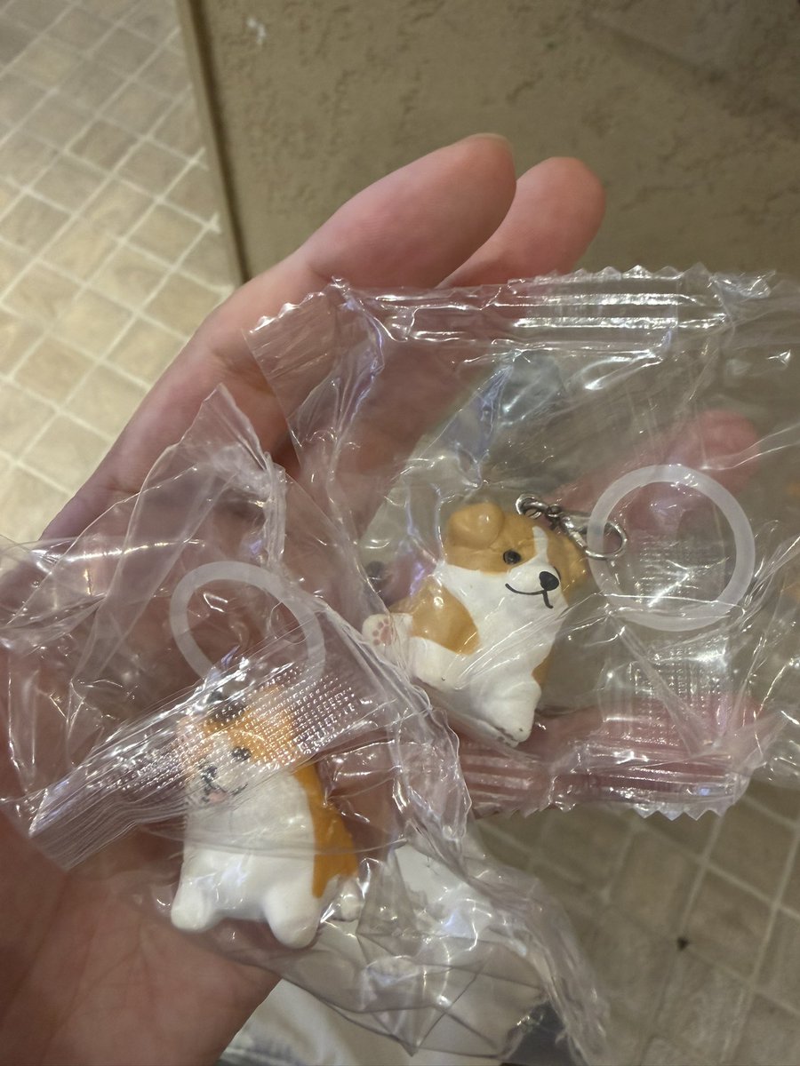 syokupan____'s tweet photo. もっちりパピーのめじるしマスコット 交換

譲 ボーダーコリー コーギー

求 シーズー

福岡市天神付近か郵送希望です
よろしくお願いします https://t.co/yDWoqz4yhZ