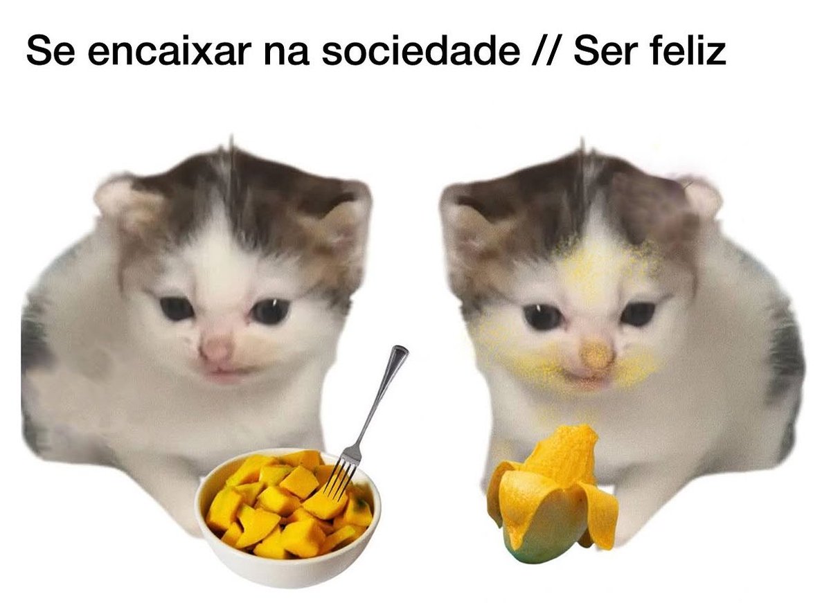 gatinarios's tweet photo. https://t.co/Xd3aU5EedR