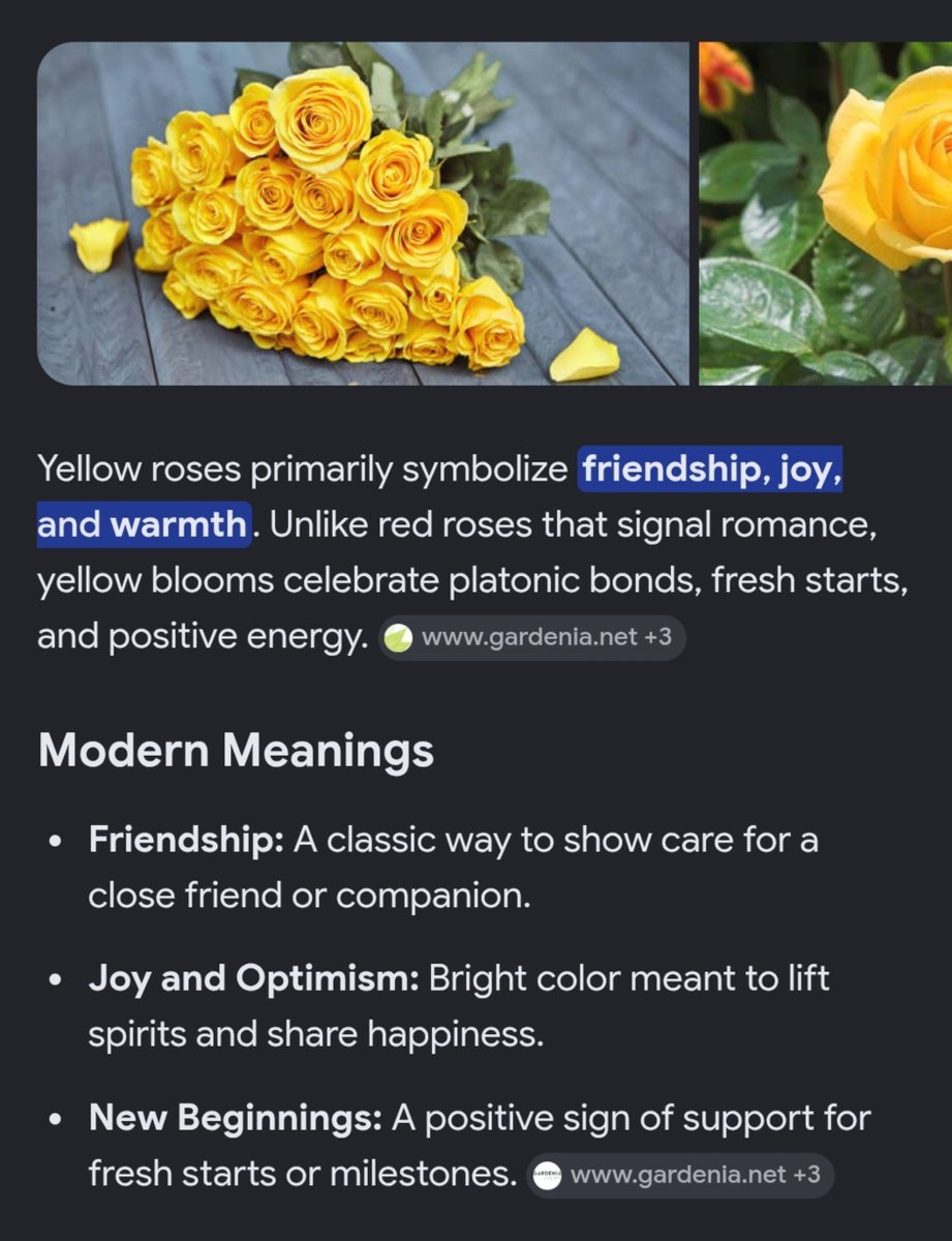 dazzlingstarksm's tweet photo. yellow rose flowers meaning is sooo 🥹💛
Burberry always sent Seungmin a flowers with a deep meaning depends on the situation!
please get work together for a long time SEUNGMIN &amp; @Burberry 

#SEUNGMINxBURBERRY https://t.co/zGUZfRBm9x