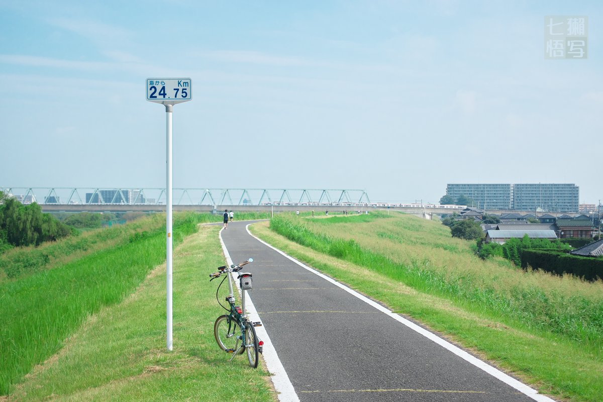 75Kawauso's tweet photo. 今日の江戸川。暑いなら、それを仕方ないと諦められる真っ青な夏空が欲しい。

#おりたたぶ #dahonroute https://t.co/DWXzPdcKqA