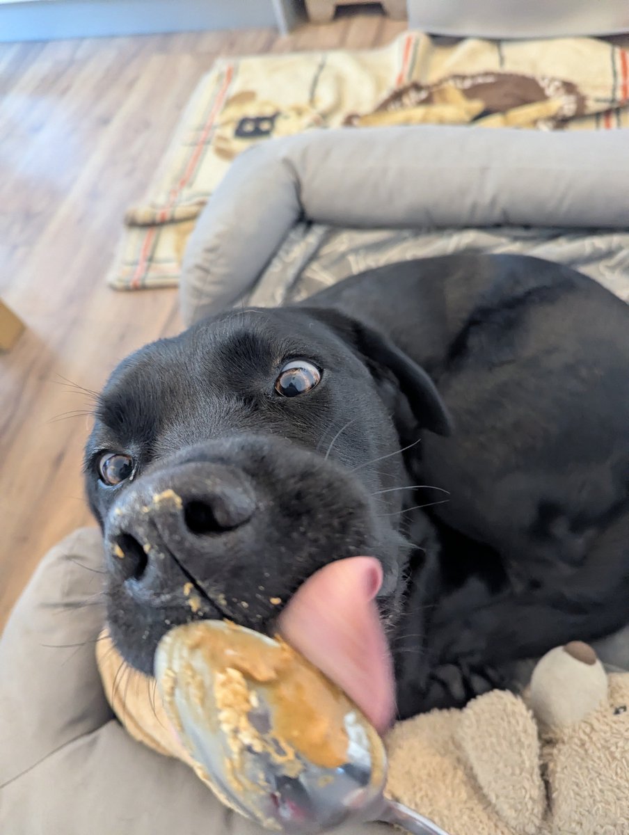 ablacktale's tweet photo. Happy Saturday 😋😋 https://t.co/0CSslPKpVT