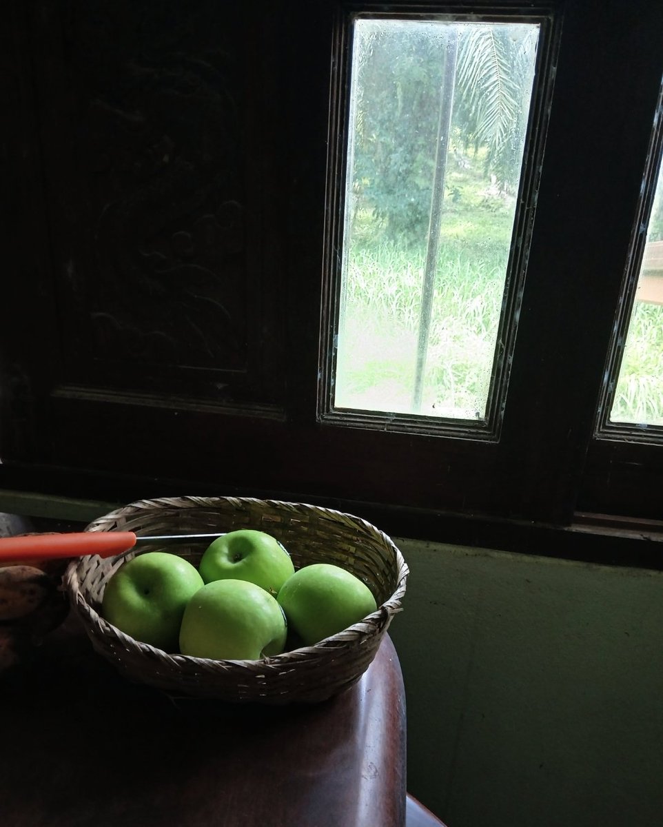 lottelata's tweet photo. 🍏 https://t.co/4tvSeL8AF7
