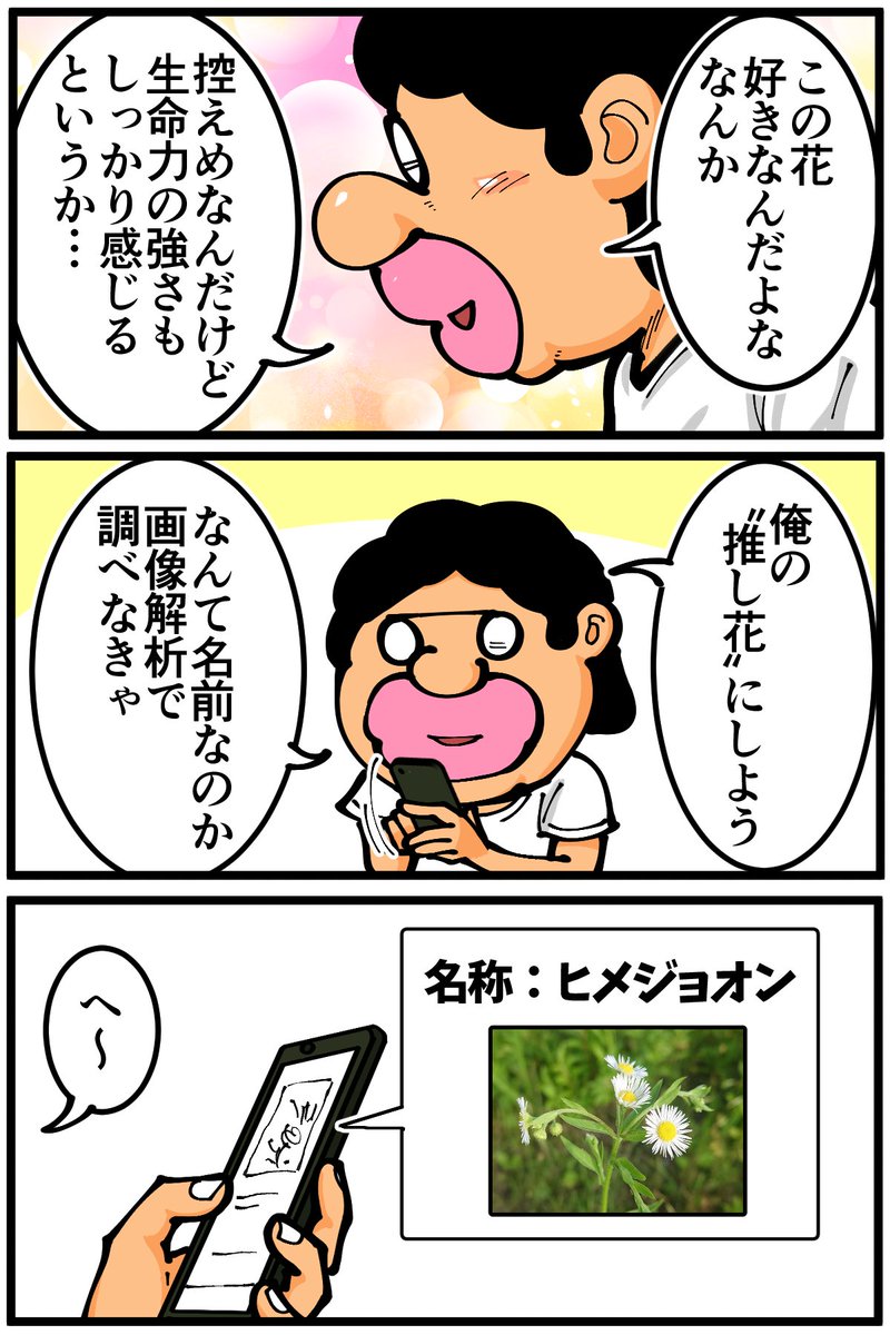 sentakubasami1's tweet photo. “推し花”に決めた花について調べてみたら（1/2） https://t.co/mF9r0FAl6c