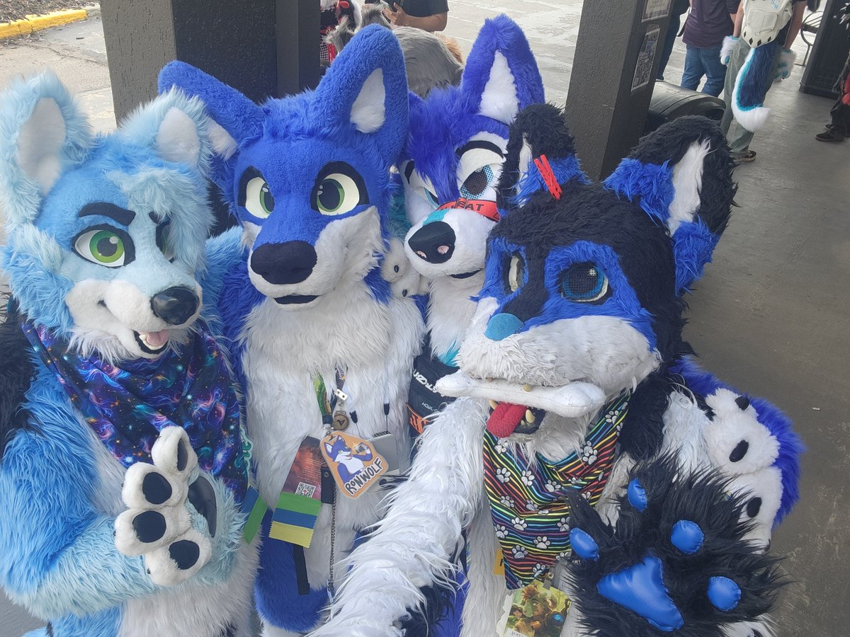 AuroraWusky69's tweet photo. @WolfyMaclod @RonWolfBlue The blue dog group https://t.co/2tcPqefJQf