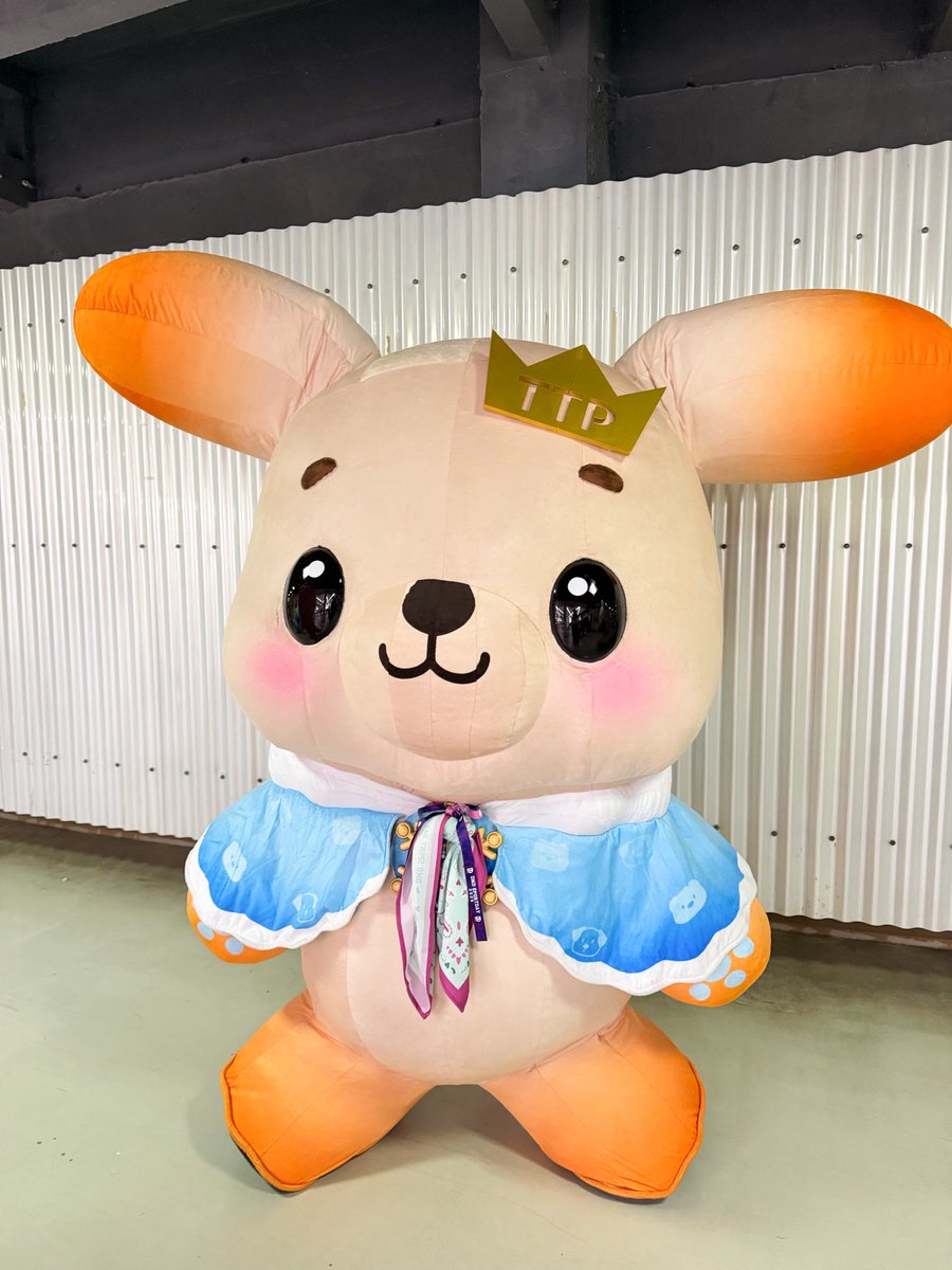 BokBear__DMD's tweet photo. เค้าพร้อมแล้วค้าบบบ ได้เวลาสนุกแหล้ว ิ ิ
หูบินนนน ทู้กคนมาสุดเหวี่ยงไปด้วยกันนะคับป๋ม 

ฝากส่งเสียงกรีดร้องให้พิ่จี๋จี๋พิ่ปิ๊ปดังๆๆ เลยนะคับ ย่ายเจ่พิ่มี๊ทู้กคนนน เย๋~

TEETEEPOR CHEER UP  

#ตี๋ตี๋ป๋อสปอร์ตเดย์2026
#DMDSportsDay2026 https://t.co/FRTFhfgl61