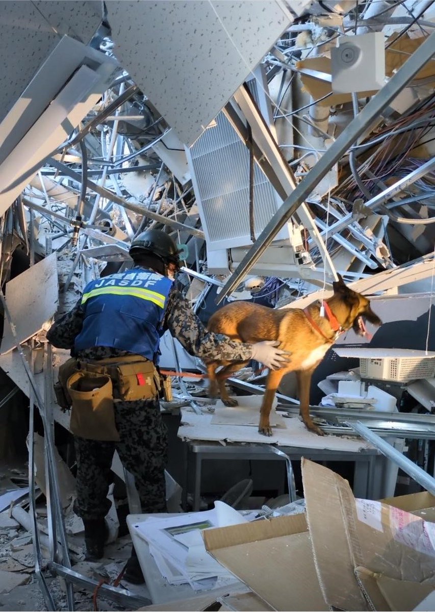 jasdf_tsuiki's tweet photo. 本日、基地所属の警備犬4頭とハンドラー隊員がイオンモール熊本での合同捜索活動に参加したほか、被災地における給水支援活動も実施しました。
また、被災地のニーズに応えるべく、基地が保有するシャワーユニットを現地に展開させ、各種準備作業を進めています。
引き続き、被災地に全力で寄り添えるよう準備を講じ、活動してまいります。
#航空自衛隊 #築城基地 #災害派遣 
#令和８年熊本地震 #警備犬 #入浴支援