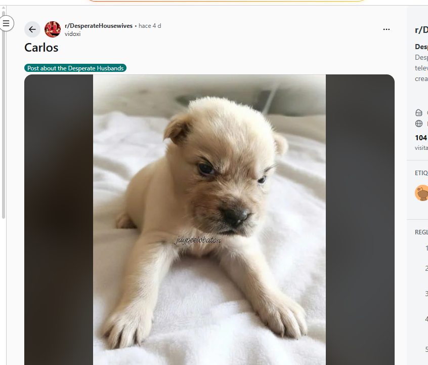 OriginalDevoor's tweet photo. IS THIS NOT THE NEXT JOTCHUA ????

4 Days ago a reddit user post a image of this angry dog called Carlos, and its literally antoher version of jotcua is perfect sendor

The image of the meme is going absolutely viral

https://t.co/SWm5en8W7w https://t.co/OOxOpCDKKN