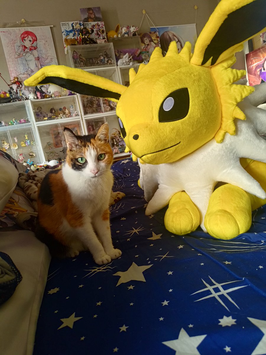 gatex103's tweet photo. 私の猫の娘は17年間私と一緒にいます。私たちはこれからもずっと幸せに一緒にいます。 https://t.co/SafgVOSA1t