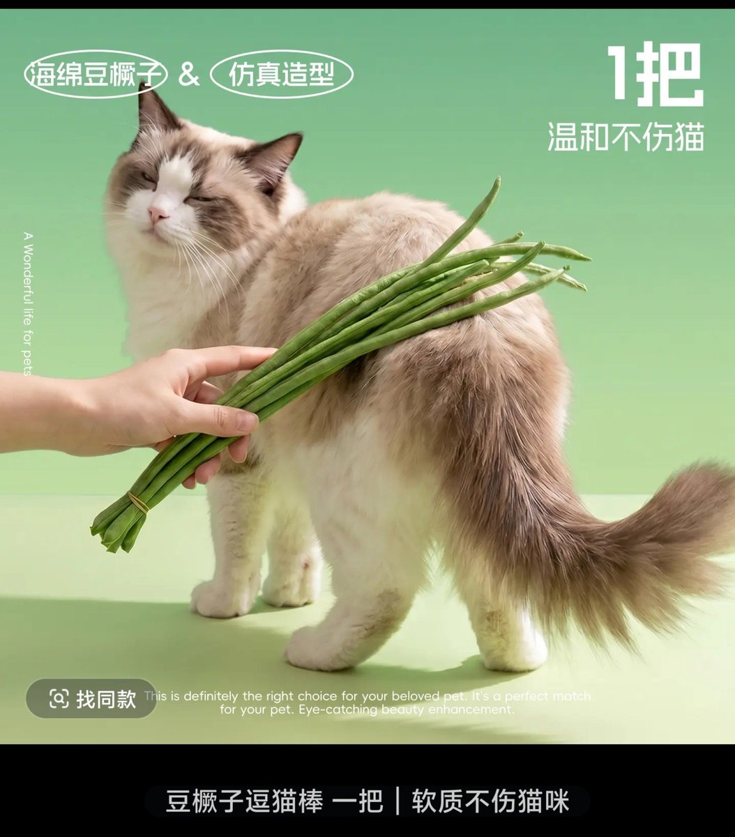 xiaogu76470639's tweet photo. 那些觉得工具千篇一律的s可以考虑入手了🥴#s #小圈 #工具 https://t.co/DnFF0kvixT