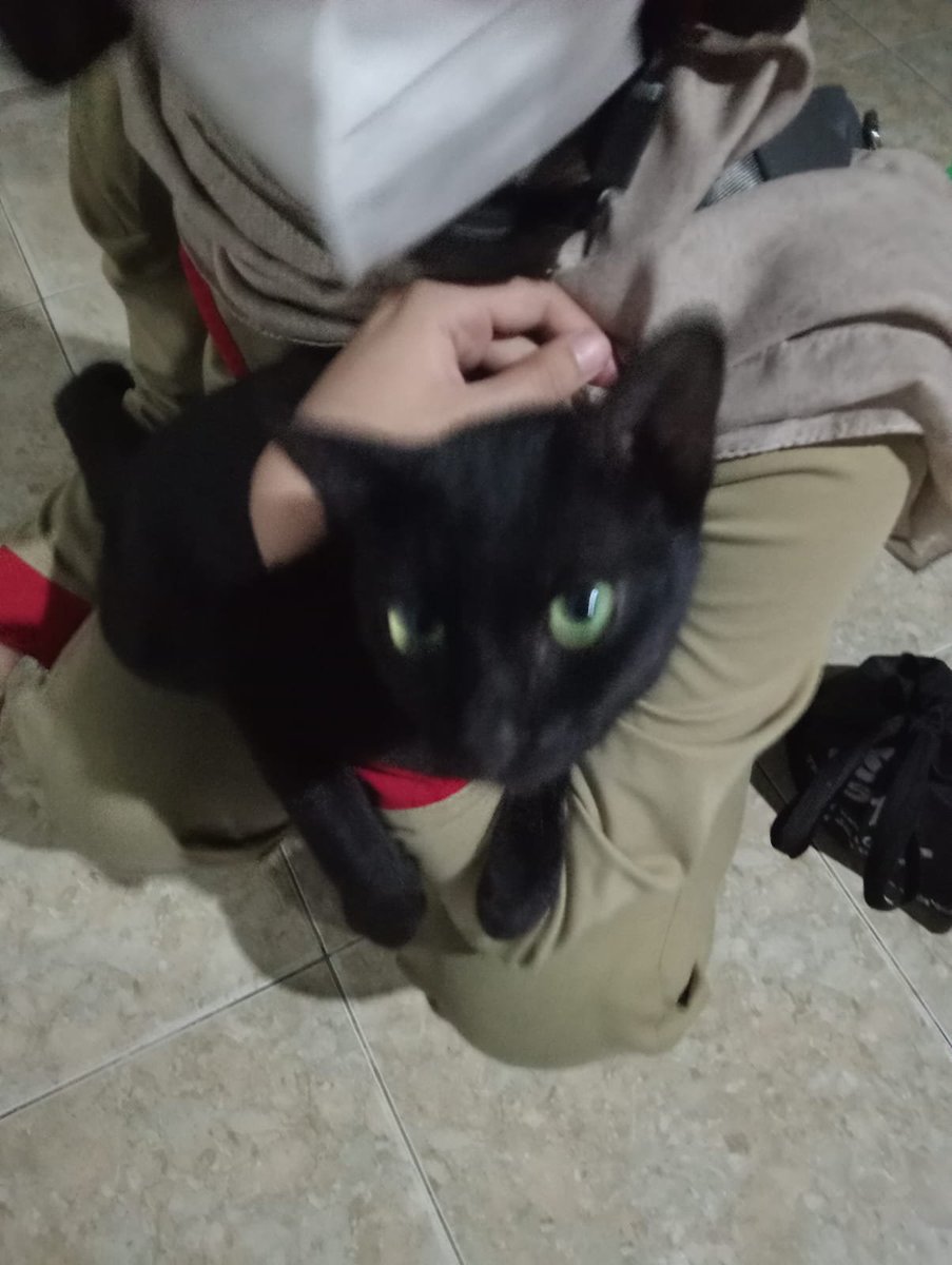 Anggrainibieb's tweet photo. After working, pasti yang duluan di cari adalah si hitam ini 
#black
#cat https://t.co/8Q8GQOYH8f
