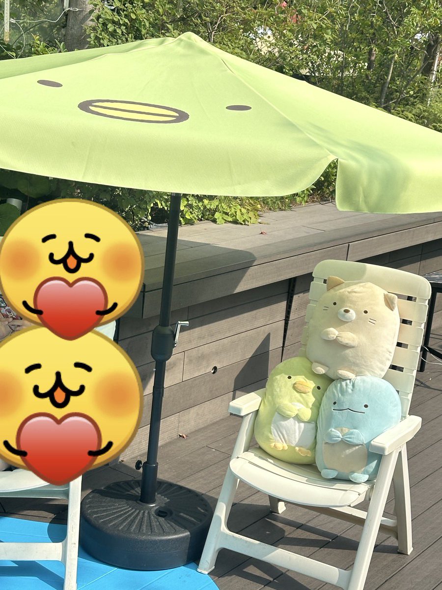 miaomiaocchi's tweet photo. #リラックマ　#すみっコぐらし　#日かげの森　#オモカド　#stayintheshade 

���みっコぐらし達がちょこんと座ってて可愛い💕 https://t.co/0R1PQzTtSy