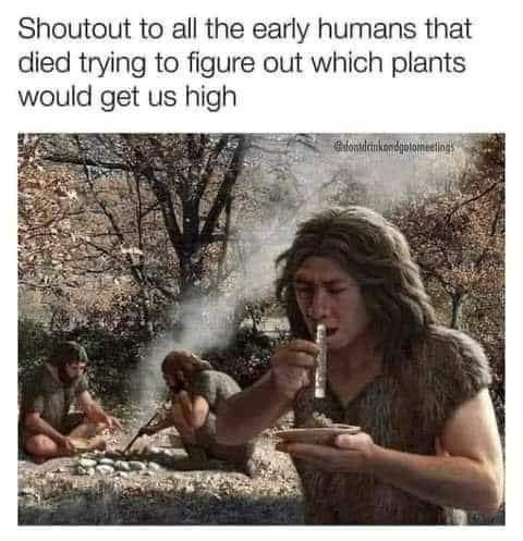 LeumasAzevren's tweet photo. Just sayin’ realistically https://t.co/p3W9zv4lsJ