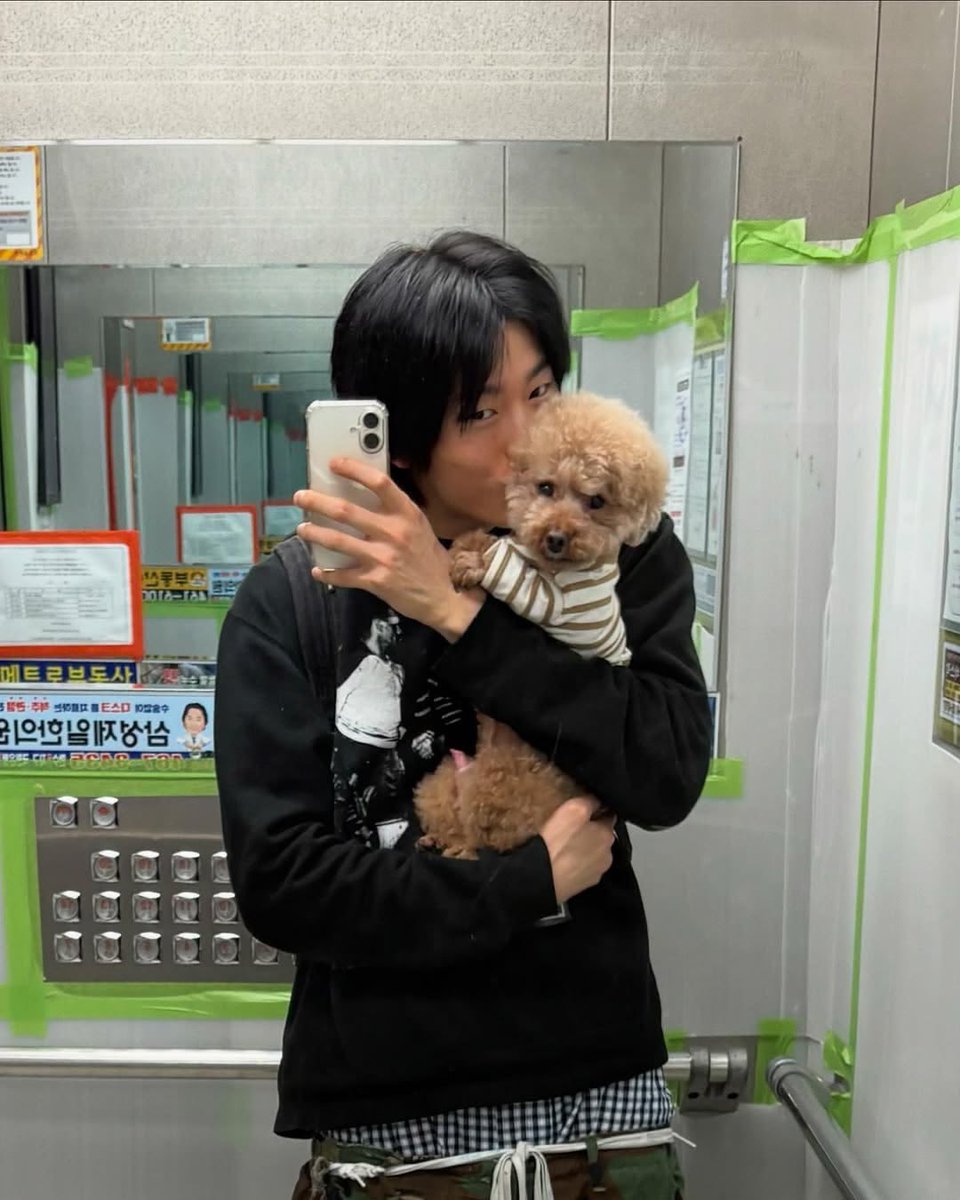 mznxbcv000303's tweet photo. 자기 반려견                        남 반려견 https://t.co/s0SpJe3Z6v