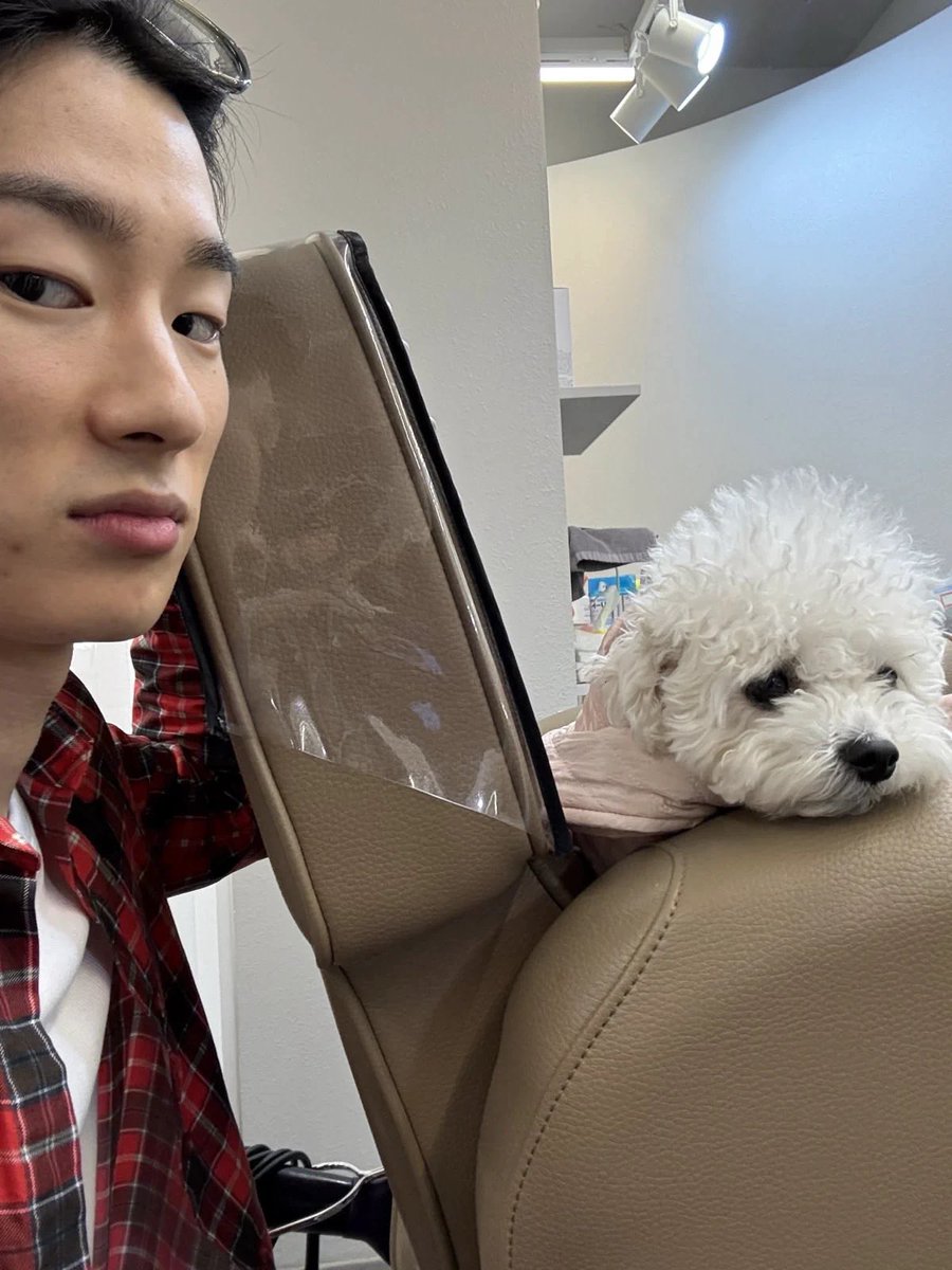mznxbcv000303's tweet photo. 자기 반려견                        남 반려견 https://t.co/s0SpJe3Z6v