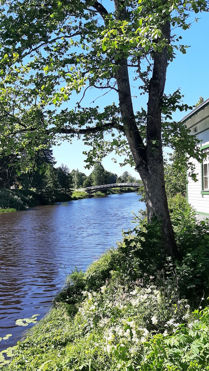 JaakkolaKaarina's tweet photo. @DailyPicTheme2 #favouritepicturefromjuly https://t.co/iGFFZfeE3P